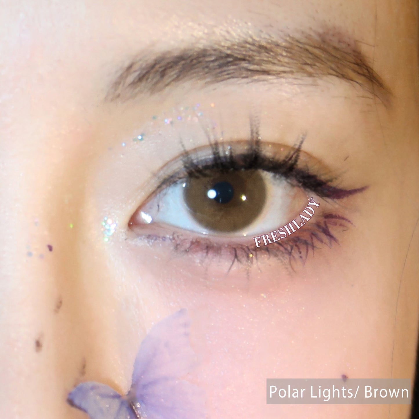 Contacts - Polar Lights