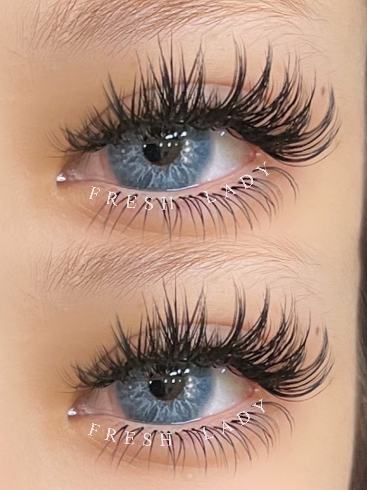 Contacts - Serotonin