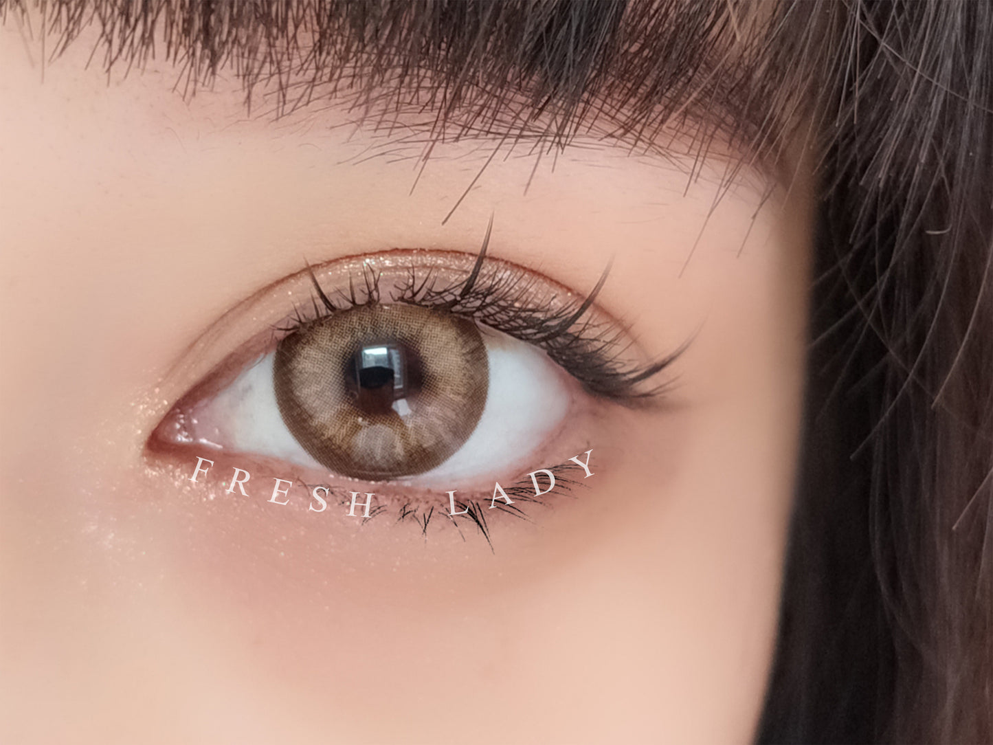 Contacts - Nutcracker