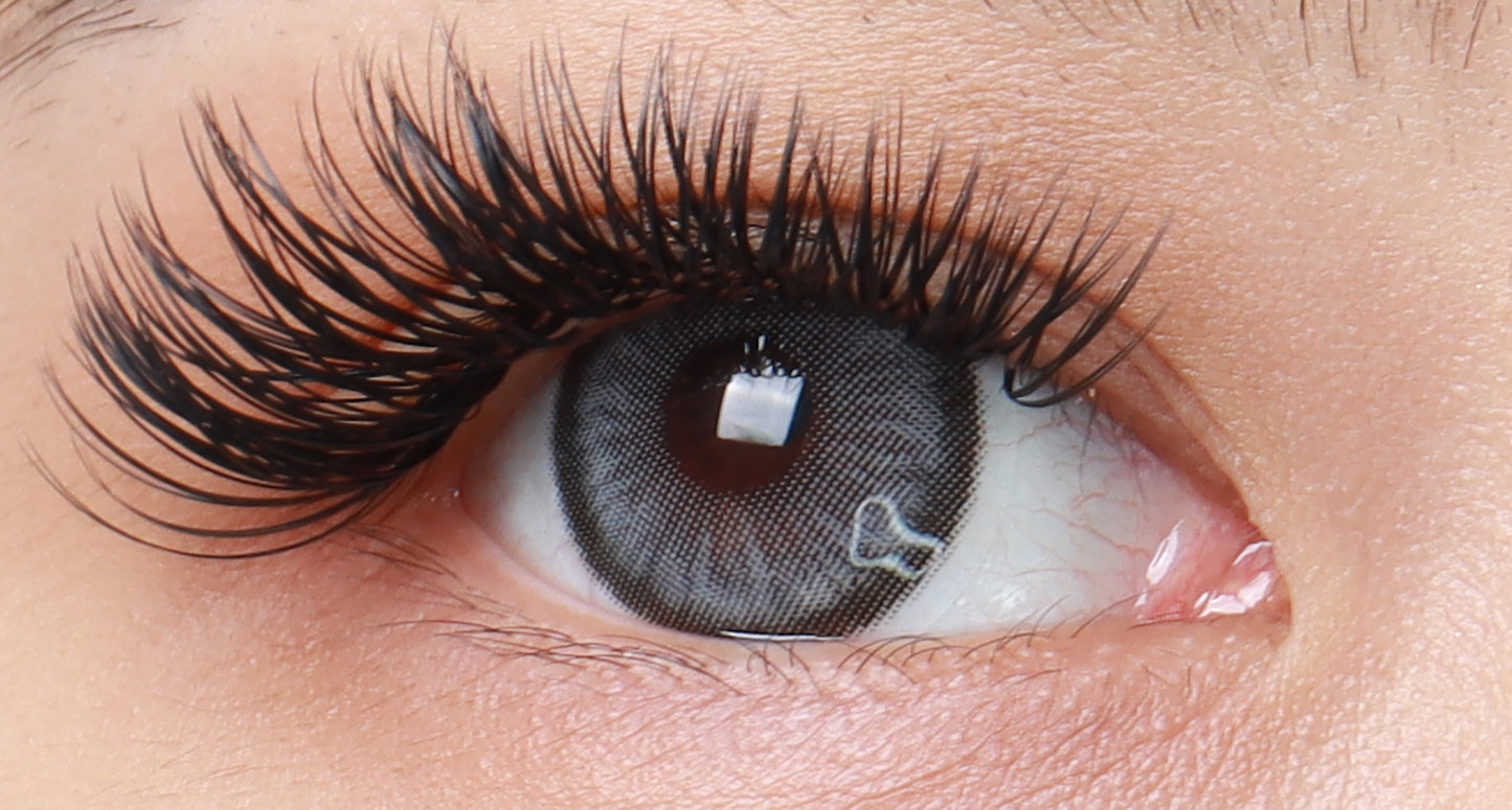 Contacts - Dawn Gray