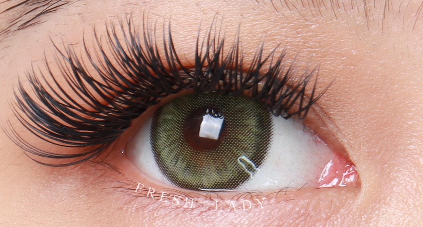 Contacts - Dawn Green